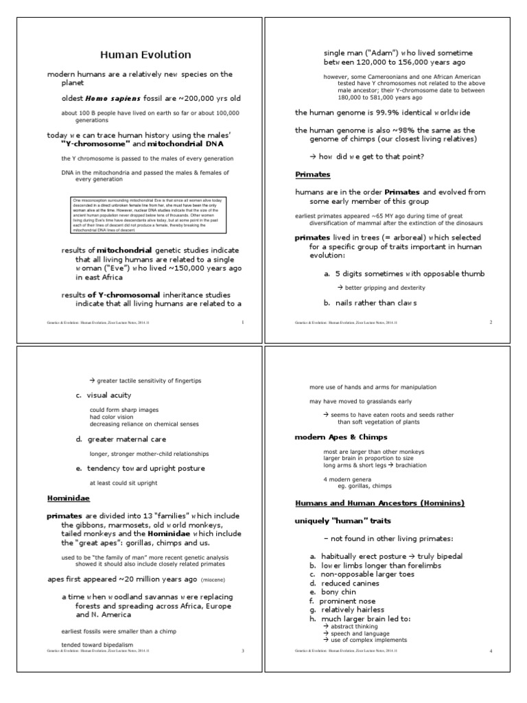 Human Evolution: "Y-Chromosome" and Mitochondrial DNA | PDF | Human ...