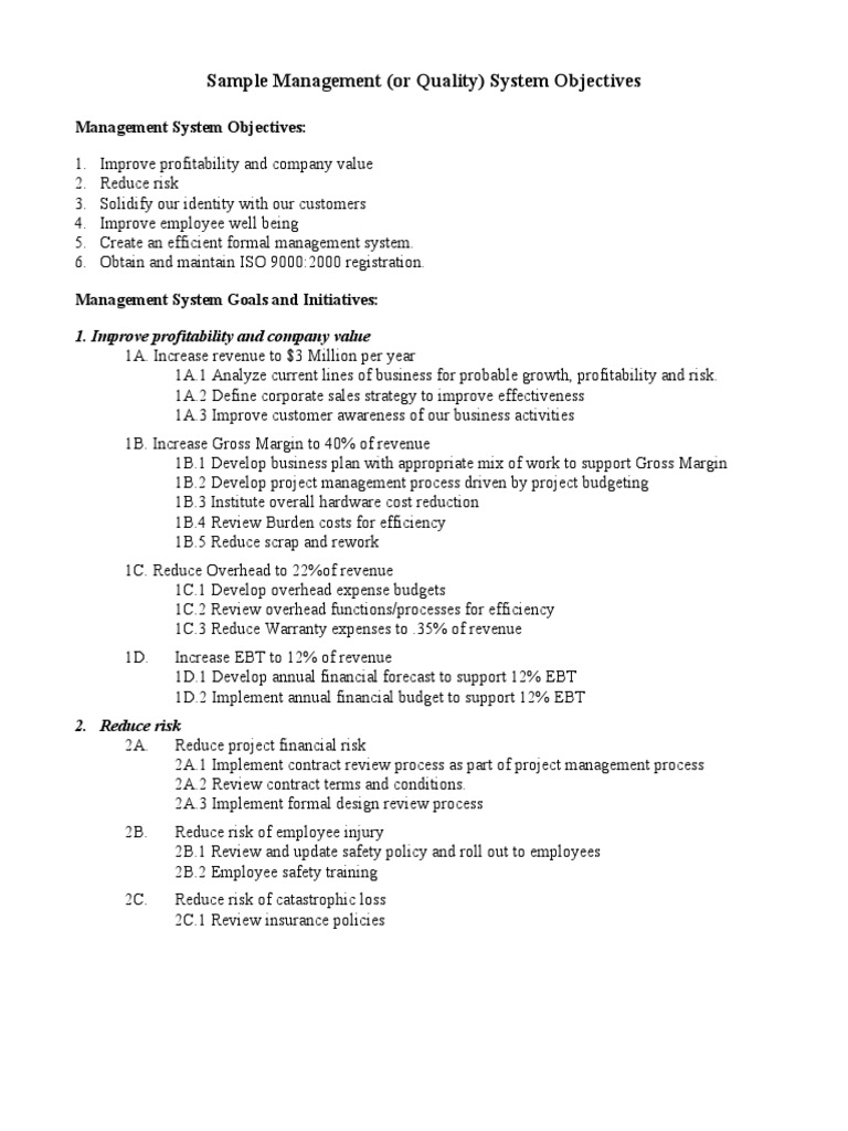 Sample Management System Goals 11 PDF Iso 9000 Business