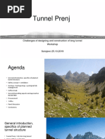 Tunnel Prenj