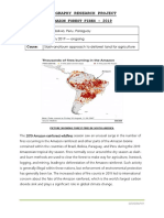 Geography Research Project: Amazon Forest Fires - 2019