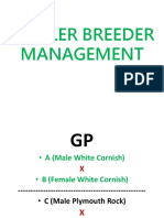 Brioler Breeder Management 1