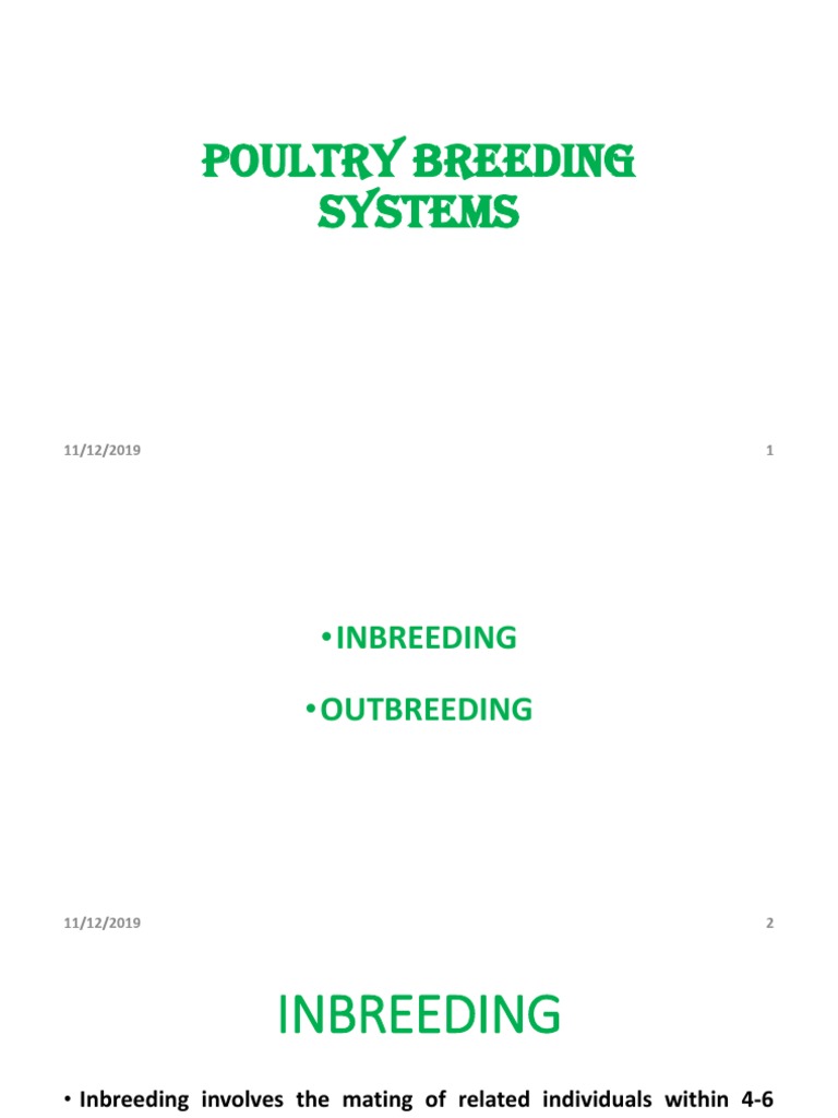 Poultry Breeding: Inbreeding vs Outbreeding | PDF | Inbreeding ...