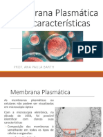 Membrana Plasmática e Suas Características