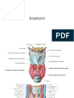 Anatomi Tiroid