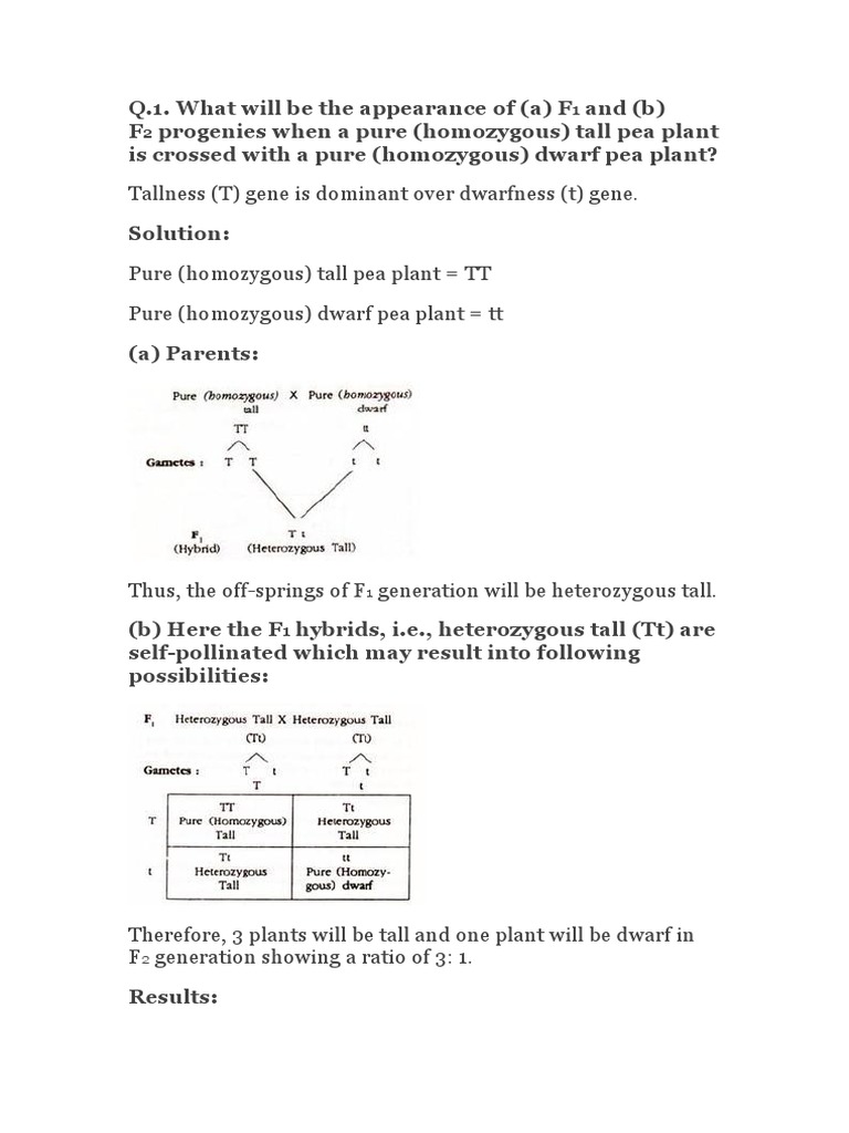 Dihybrid and Monohybrid Cross Analysis | PDF | Zygosity | Genotype