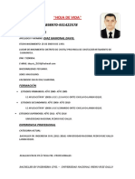 Curriculum-Vitae-Final-Todos 1 PDF