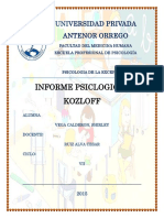 Informe Kozloff