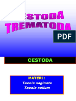Cestoda & Trematoda-1