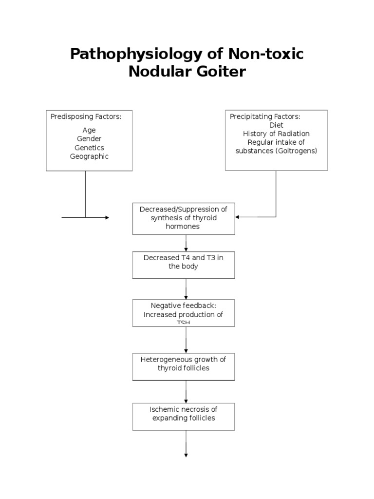 Pathophysiology of Nontoxic Goiter | PDF | Thyroid | Hyperthyroidism