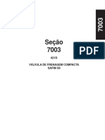 621D_7003_Safim.pdf