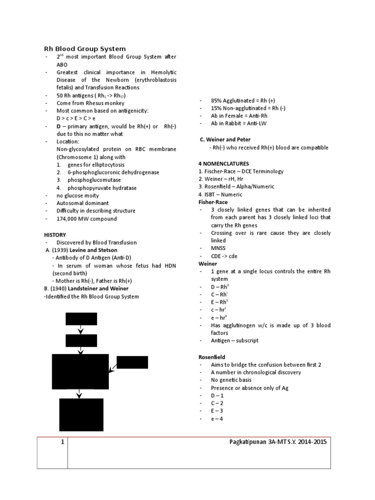 A Comprehensive Overview of the Rh Blood Group System: Antigens ...