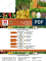 Biomasa Sector Agricola