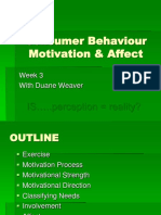 Consumer Behaviour Motivation & Affect: IS ..Perception Reality?