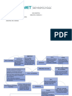 Mapa Conceptual 2