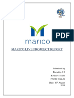 Marico Training Report