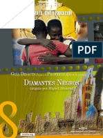 Guía didáctica - Diamantes negros