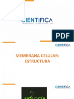 Clase 2 (1).pdf