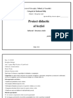 Proiect Didactic. Analizatorul Cutanat