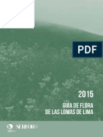 vegetacion de lomas en lima.pdf