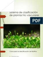 Sistema de clasificación de plantas No vasculares.pptx