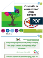 Riesgo Biologico PDF