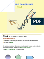 Dna E Rna: Metabolismo de Controle