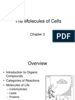 Molecules of Cells