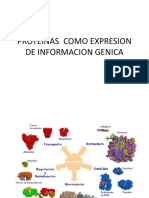 Proteinas Como Expresion de Informacion Genica