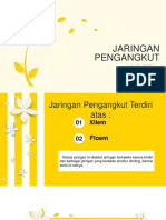 Jaringan Pengangkut Xilem dan Floem