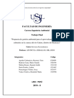 Trabajo Final de SSEE PDF