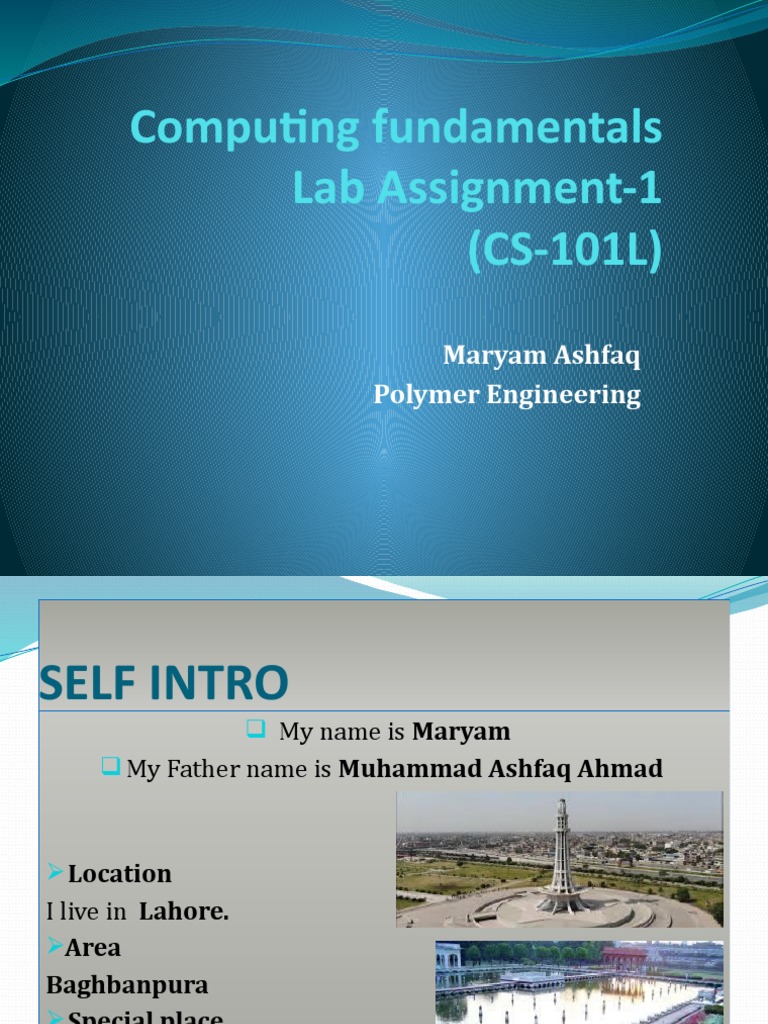 Maryam Ashfaq: Personal Profile Overview | PDF