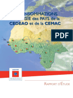 Conso Cedeao Et Cemac-Fr