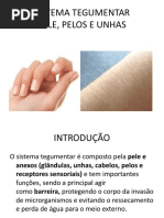 Sistema Tegumentar Pele, Pelos e Unhas
