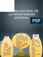 HTA: Factores de riesgo, signos, tratamiento y prevención