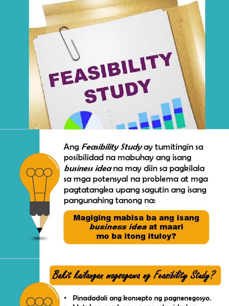 Feasibility Study | PDF