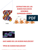 Estructura de Los Acidos Nucleicos Genomas Expresión Genica