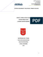 Diseño Del Sisema de Gestion de Seguridad y Salud en El Trabajo Attica Biomedica (3)