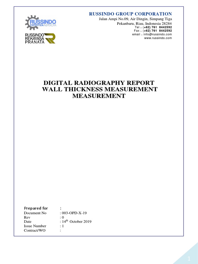 Digital Radiography Wall Thickness Report | PDF | Materials | Building ...