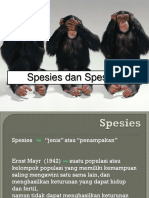 Spesiasi