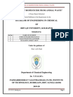 Report Phase 1 Biopesticide