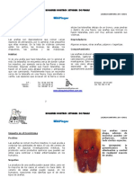 ARANAS 8 pp.pdf
