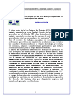 17017498-Trabajos-Especiales-en-La-Legislacion-Laboral.pdf