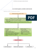 SVCA Síndromes Coronarios Agudos y Accidente Cerebrovascular