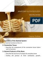 Anatomy & Physiology: Skeletal System