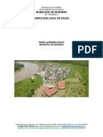 perfil epidemiologico del municipio de murindo.pdf