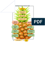 Diagrama de Flujo Cultivo de La Piña