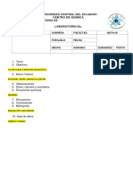 Formato Del Informe de Organica