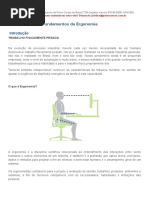 Estudando_ Fundamentos Da Ergonomia _1