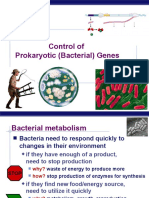 Control of Prokaryotic (Bacterial) Genes: AP Biology