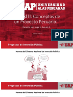 Proyectos de Inversión Pública PDF